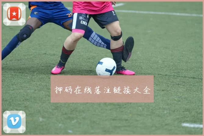 押码在线落注链接大全