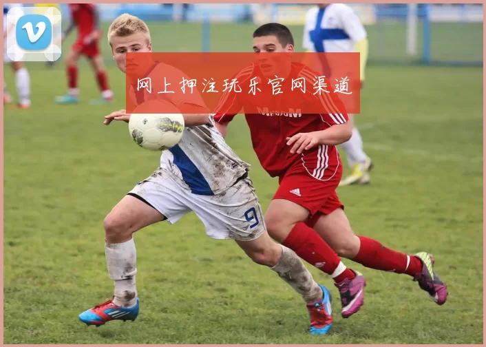 网上押注玩乐官网渠道