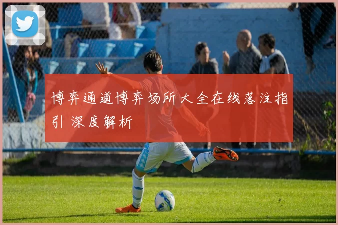博弈通道博弈场所大全在线落注指引 深度解析
