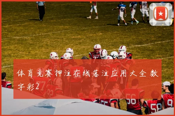 体育竞赛押注在线落注应用大全 数字彩2