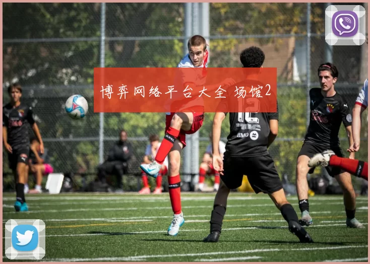 博弈网络平台大全 场馆2