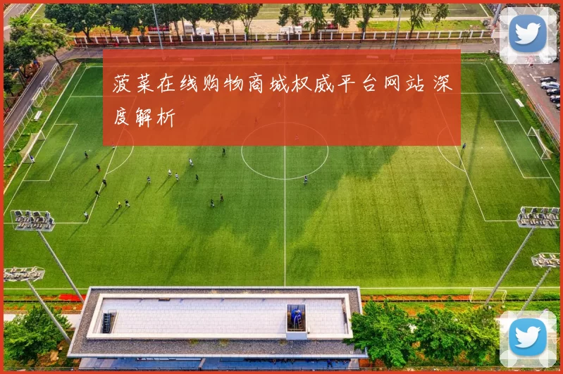 菠菜在线购物商城权威平台网站 深度解析