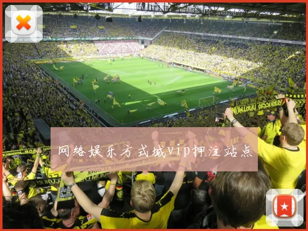 网络娱乐方式城vip押注站点