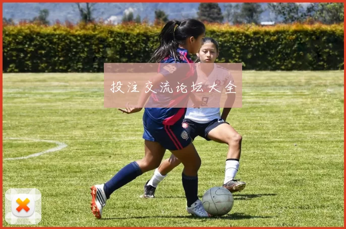 投注交流论坛大全