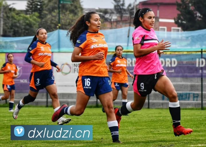 大发娱乐发展历程